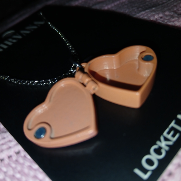 Nirvana "Heart Shaped Box" Locket Necklace - Picture 3 of 4